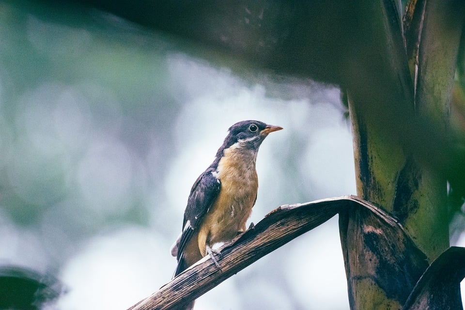 Green Tech News Today India