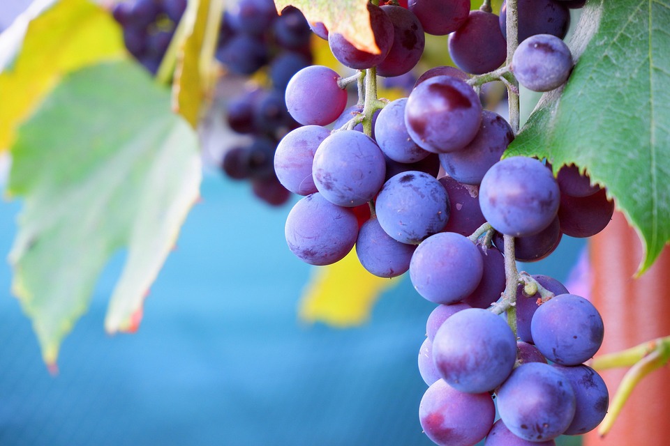 Healthy Habits to Increase Energy Naturally