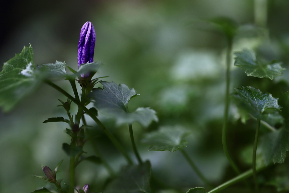 Early Signs of Thyroid Problems