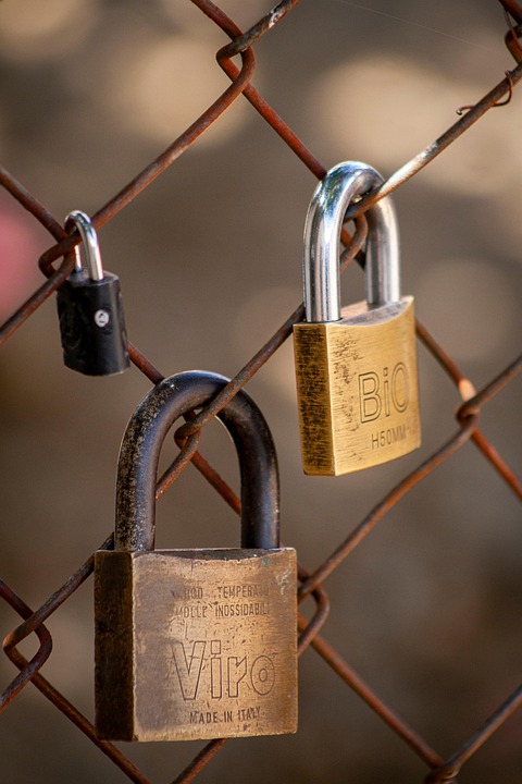 Solana and Chainlink Lead Altcoin Gains in May 2026