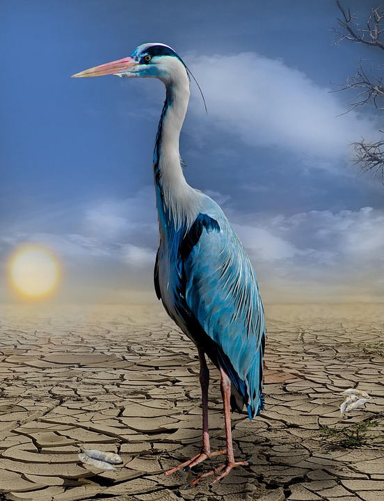 climate tech trends 2026