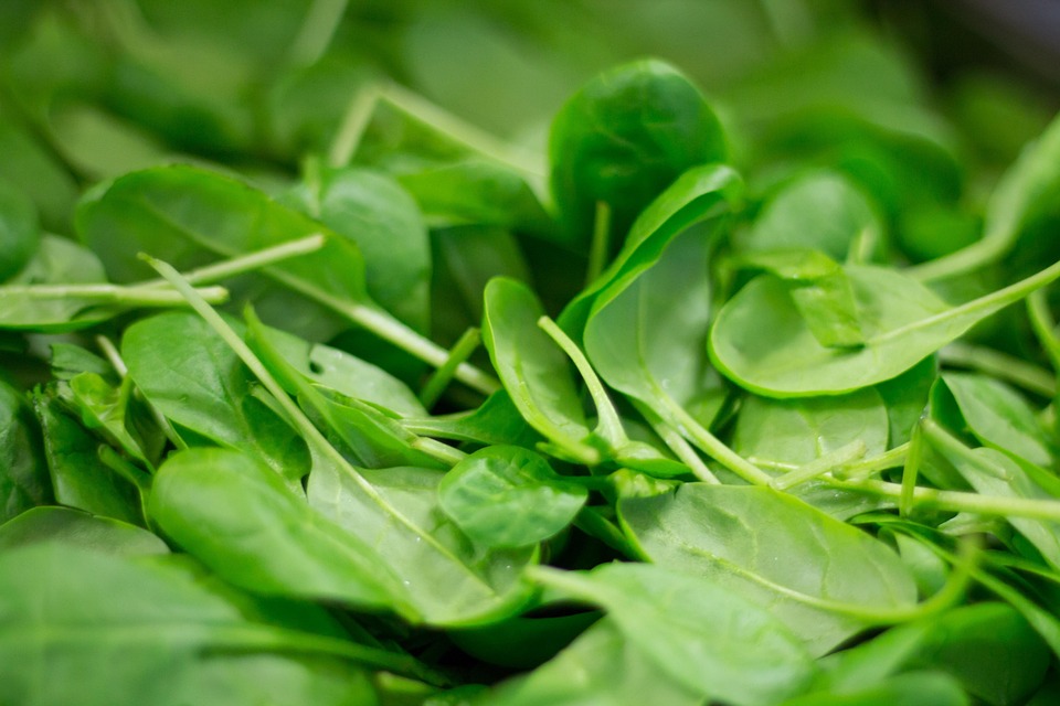Foods That Boost Immunity Naturally
