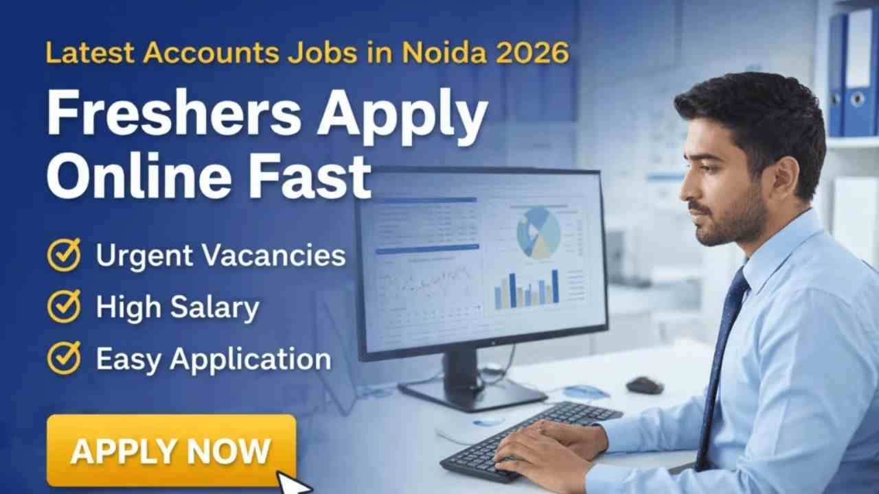 Top Private Job Opportunities in Noida for Freshers