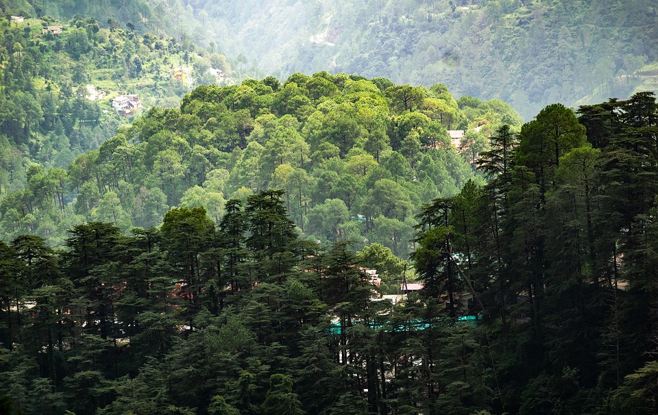 kalka to shimla fastest train