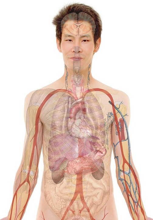 online nursing degree usa